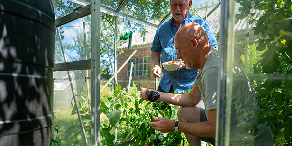 Horticulture (Advanced) RPL